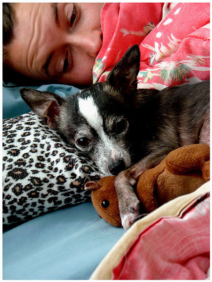 amazing pet photographs | san francsico, SF, S.F. | Orinda